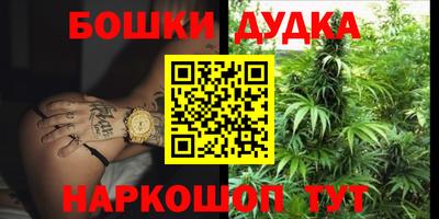сатива Абакан
