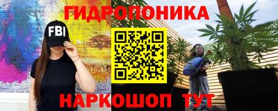 сатива Абакан