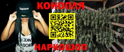 сатива Абакан