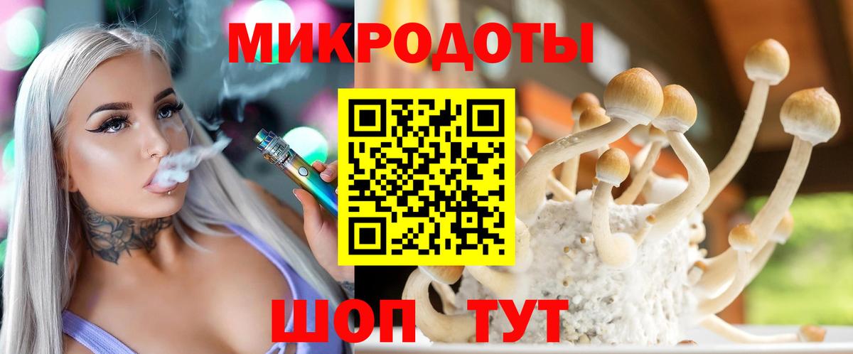 Галлюциногенные грибы мухоморы  Псилоцибиновые грибы мицелий  Вход с VPN  Россия 
